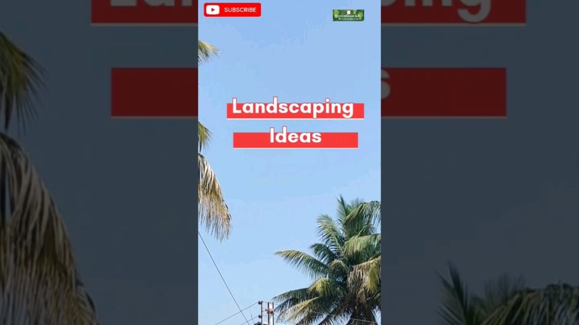 Landscaping Ideas| Beautiful garden ideas #shorts #gardening #landscape #fruit #home Landscaping Ideas| Beautiful garden ideas #shorts #gardening #landscape #fruit #home