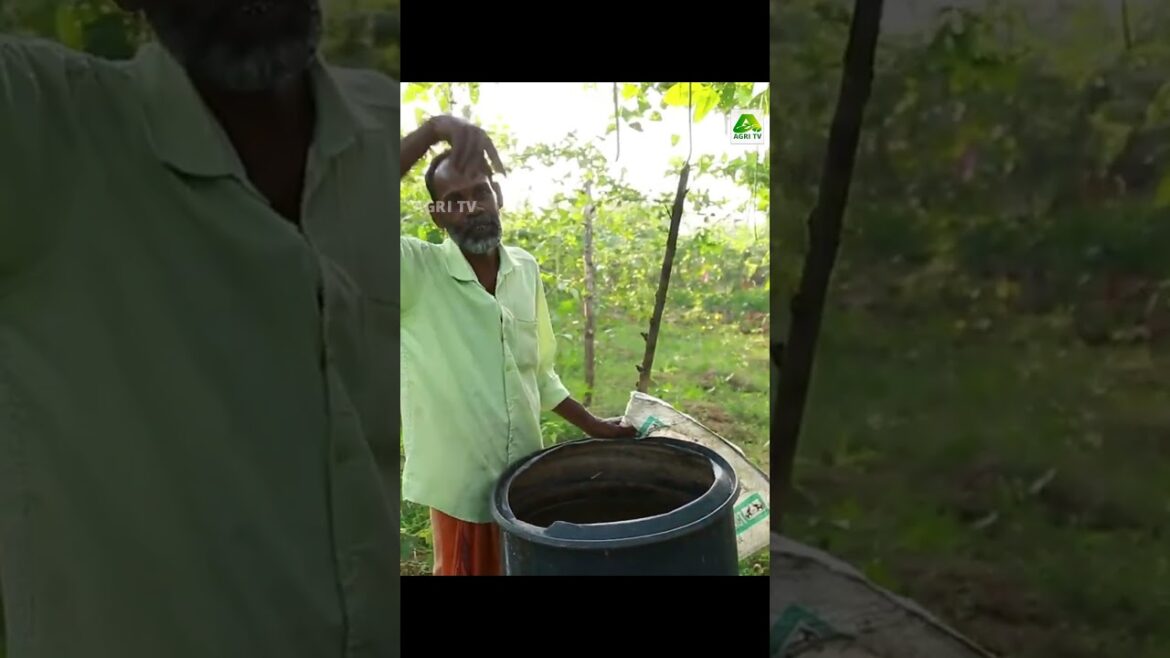 ശ്രീധരേട്ടൻ തയ്യാറാക്കിയ ഈ ഉഗ്രൻ വളക്കൂട്ട് മതി പച്ചക്കറി കൃഷിയിൽ 100 മേനി വിളയിക്കാൻ #agritips