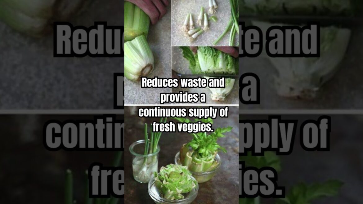Regrow and Reuse: Kitchen Scrap Gardening | BackyardBloomstead