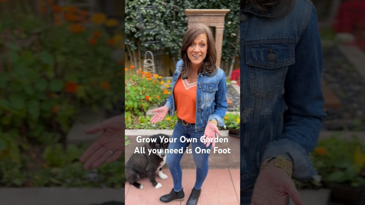 Give me a foot-I’ll give you a garden