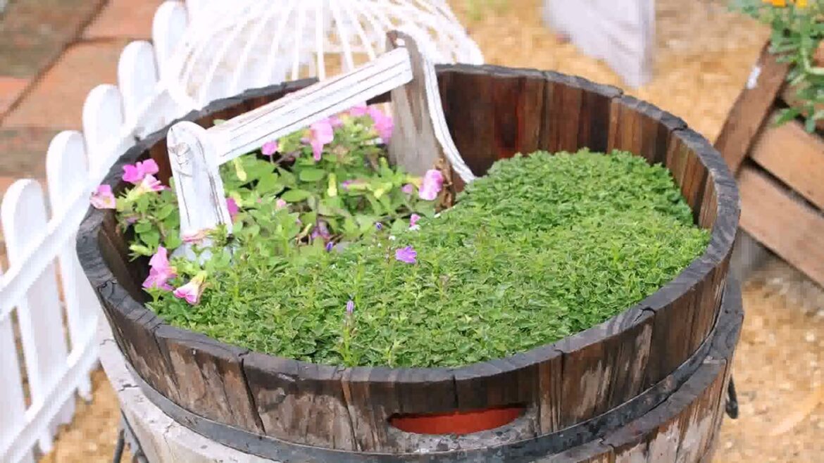 Container Gardening Ideas For Small Spaces