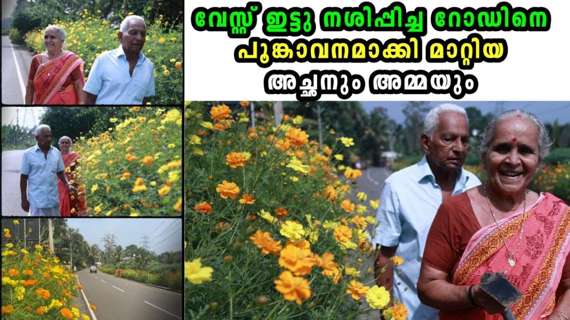 റോഡിൽ വേസ്റ്റ് ഇടുന്നവർക്കു ഈ അച്ഛനും അമ്മയും കൊടുത്ത പണി കണ്ടോ .. ആരും ഒന്ന് നോക്കാതെ പോകില്ല