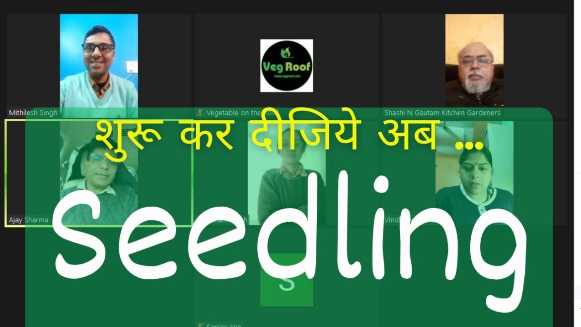 Community Meeting 28 Jan 24: Seedling & Mindset of Vegetable Gardening Community Meeting 28 Jan 24: Seedling & Mindset of Vegetable Gardening