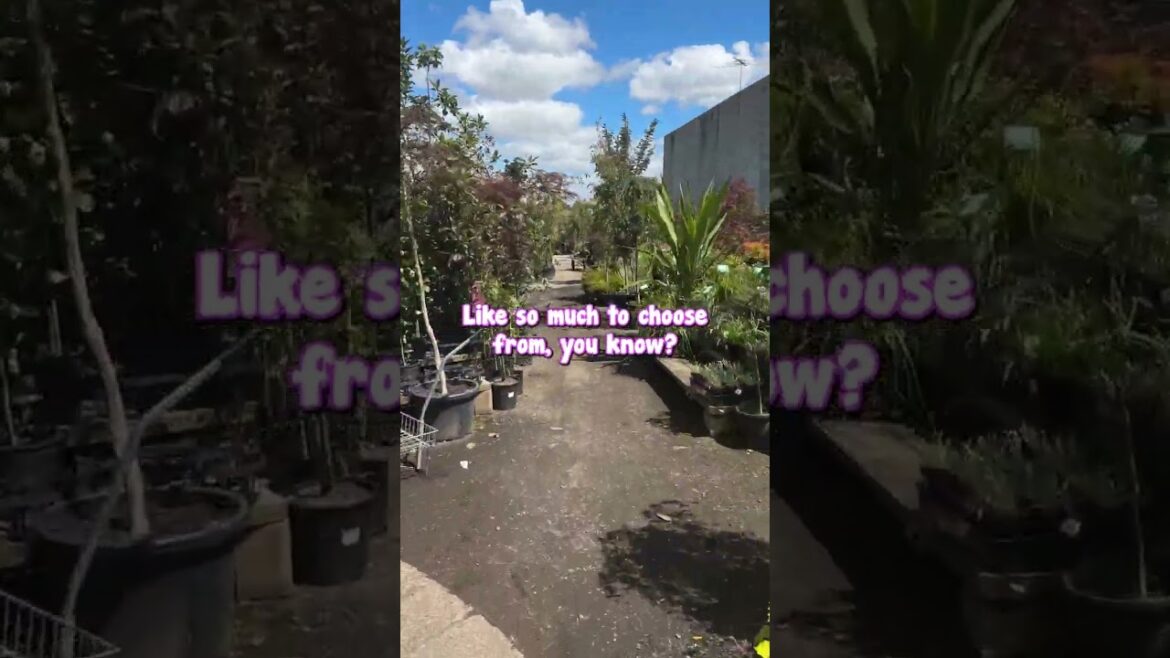 What Are You Shopping For??👀😃🌿🛒 Part 4