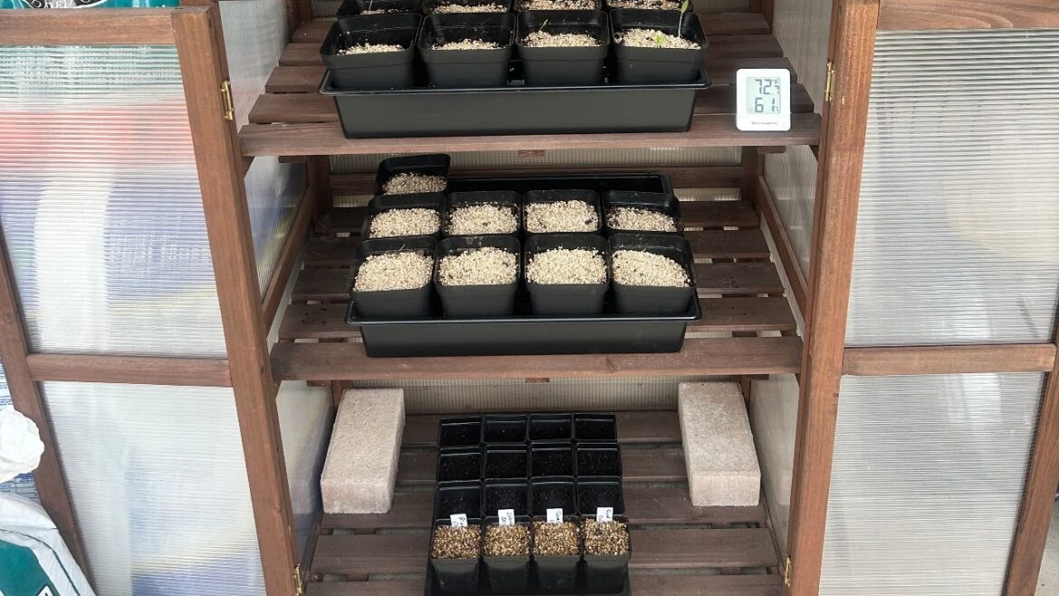 Seeds, Seeds and More Seeds: Prepping for the #PlanterHGC2024 @NicoleSmithGardening