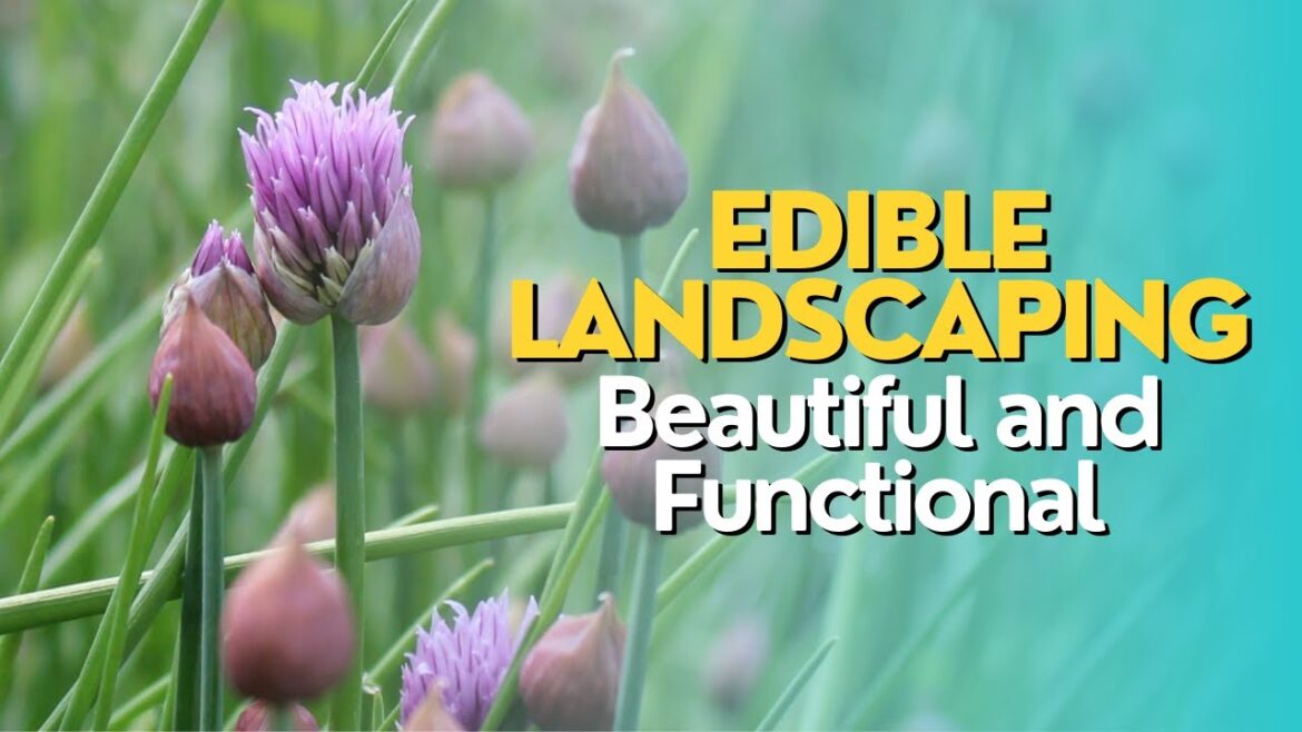 Edible Landscaping: Beautiful and Functional