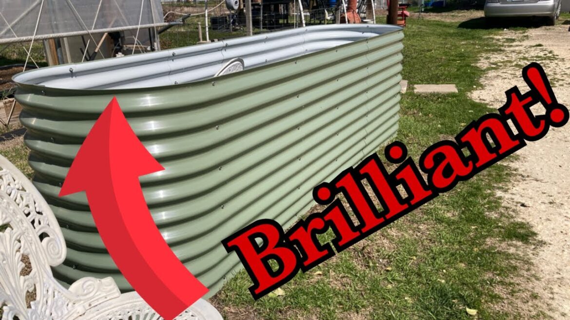 Discover the Ultimate Raised Bed Bargain! Effortless Setup & Max Value from @Vegogarden! Discover the Ultimate Raised Bed Bargain! Effortless Setup & Max Value from @Vegogarden!