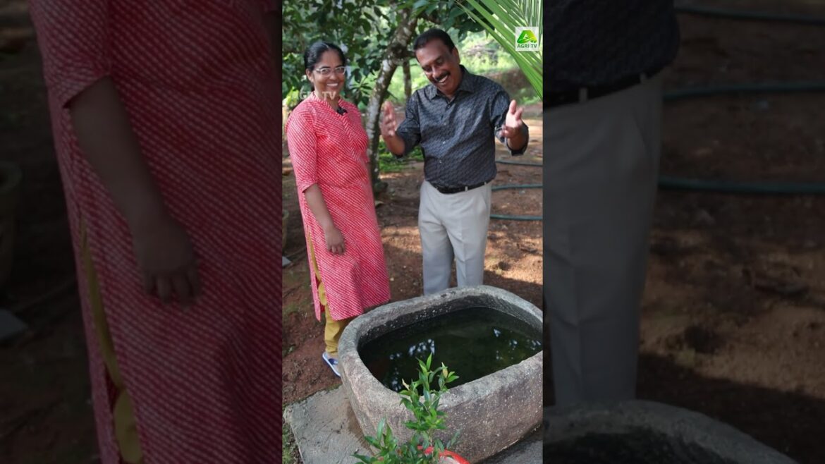 ഓൾഡ് ഈസ് ഗോൾഡ്! പണ്ടുകാലത്ത് ഒട്ടുമിക്ക വീടുകളിലും ഉണ്ടായിരുന്ന  കൽതൊട്ടി കണ്ടിട്ടുണ്ടോ #stone