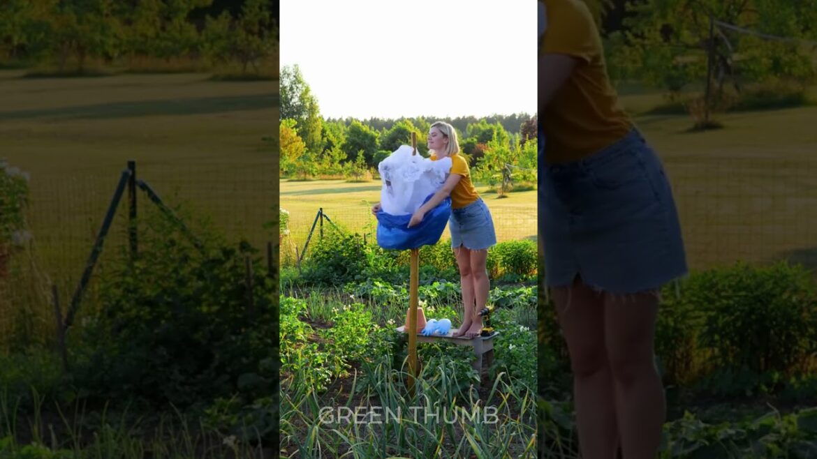 Outsmart Garden Invaders 🌿: The Sneaky Hack That Works Wonders! ⛔ #shorts #hacks #gardening