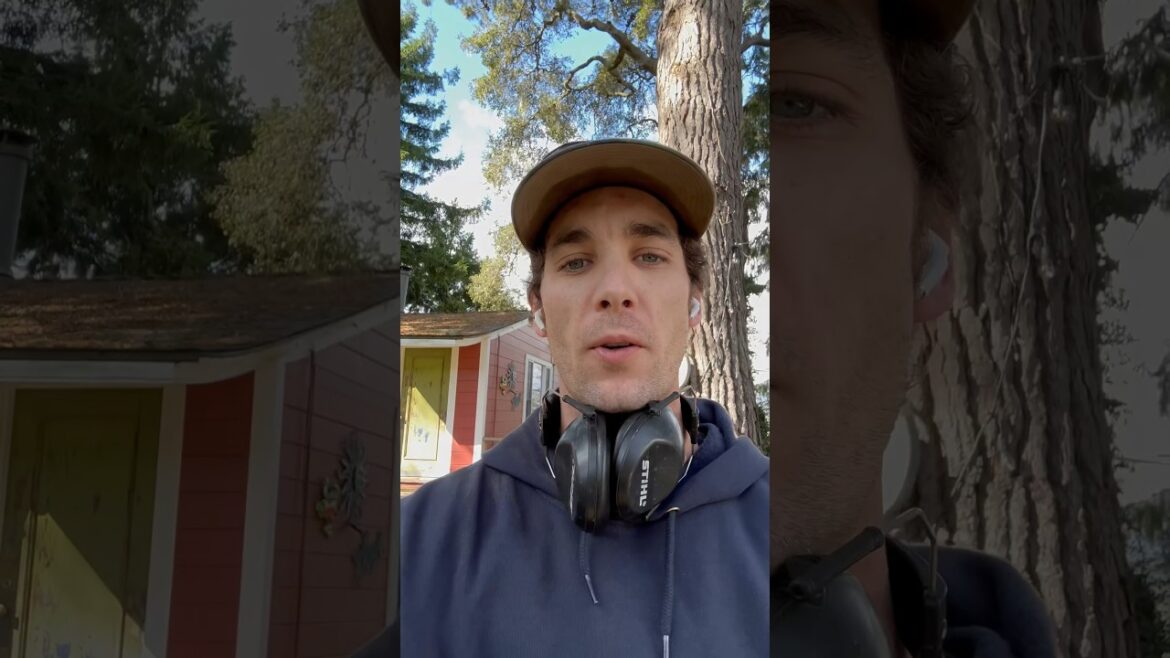 Super Dirty Property Cleanup #landscape #shorts