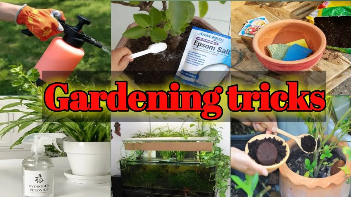15 Gardening Tricks every gardener should know
