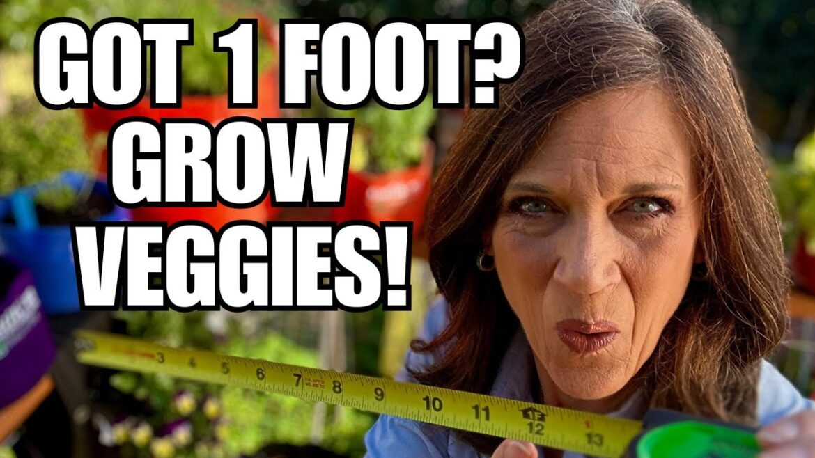 CaliKim: Give Me 1 Foot & I’ll Give You a Vegetable Garden Give Me 1 Foot & I’ll Give You a Vegetable Garden