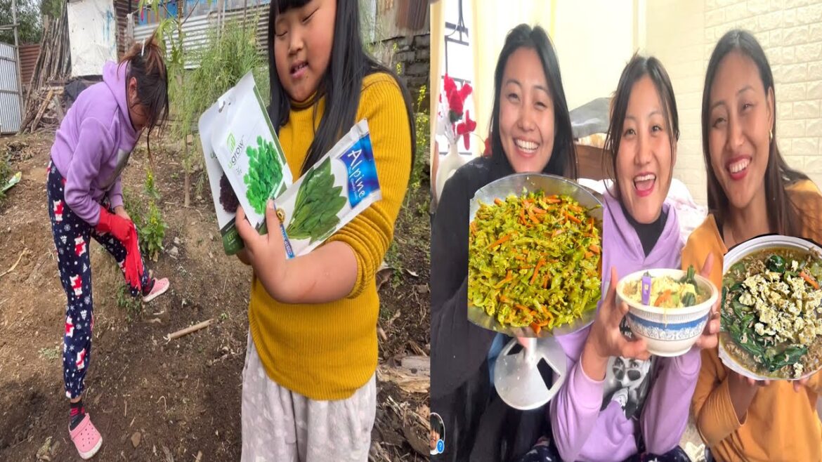 Harvesting Cabbage and Bokchoy from kitchen garden π| MUKBANG WITH SISTERS π―ββοΈ . Harvesting Cabbage and Bokchoy from kitchen garden π| MUKBANG WITH SISTERS π―ββοΈ .