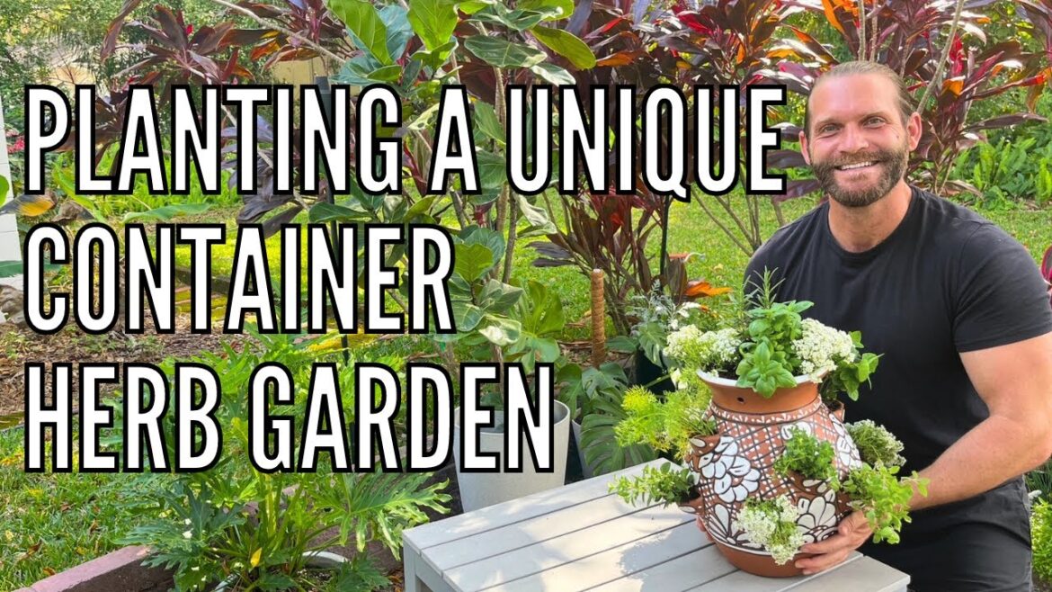 Herb Garden Inspiration | Planting a Unique Container Herb Garden | Edible Gardening