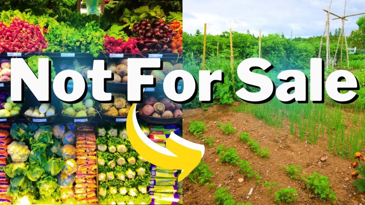 6 Veggies You Can Grow But NEVER Buy At The Grocery Store 6 Veggies You Can Grow But NEVER Buy At The Grocery Store