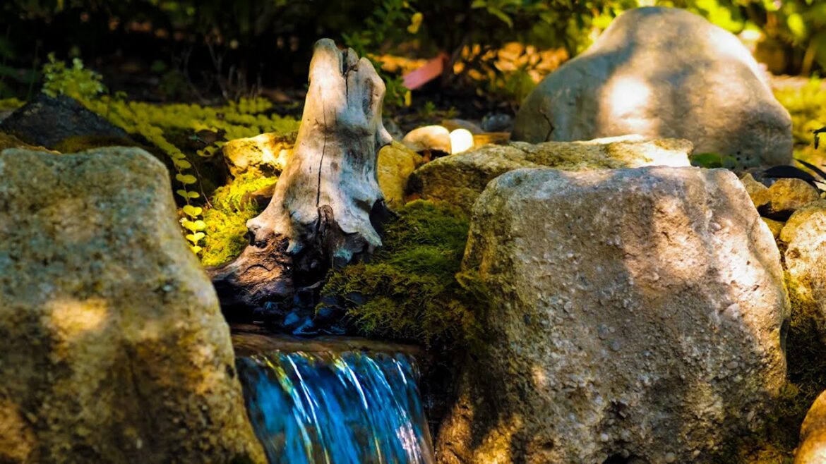 Complete Waterfall Transformation | Waterfall Magic Reveal