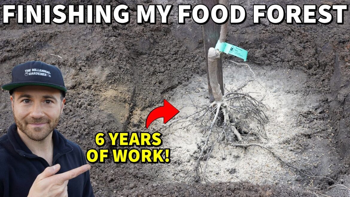 This MASSIVE Garden Expansion Was 6 Years In The Making!