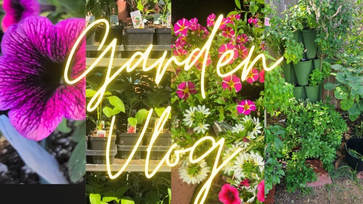 Garden Vlog: OMG so many tomatoes 🍅 Enchanted Forest Richmond, Texas