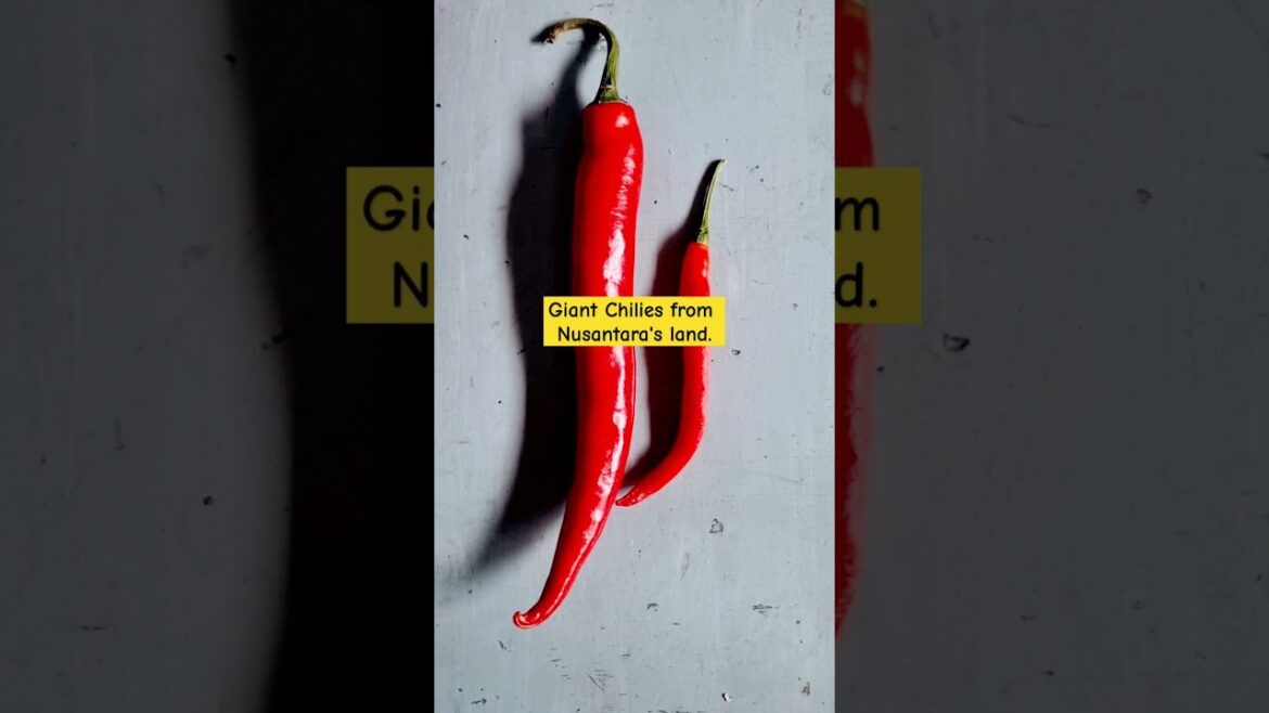 cabai raksasa #art #story #shorts #creative #harvest #gardening #chili #pepper #satisfying