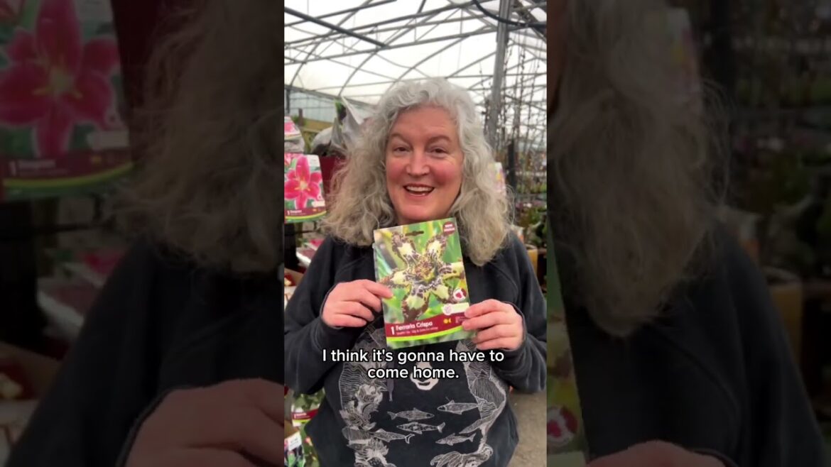 The Early Gardener Saves Money The Early Gardener Saves Money