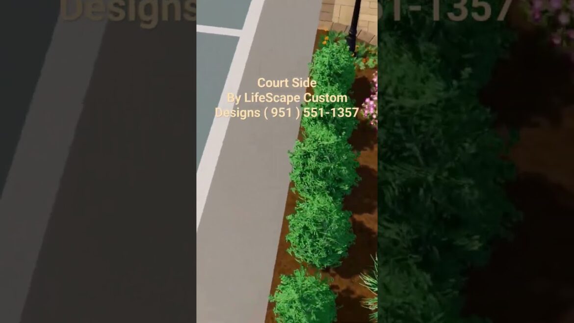 Court Side / Be the game, be the space