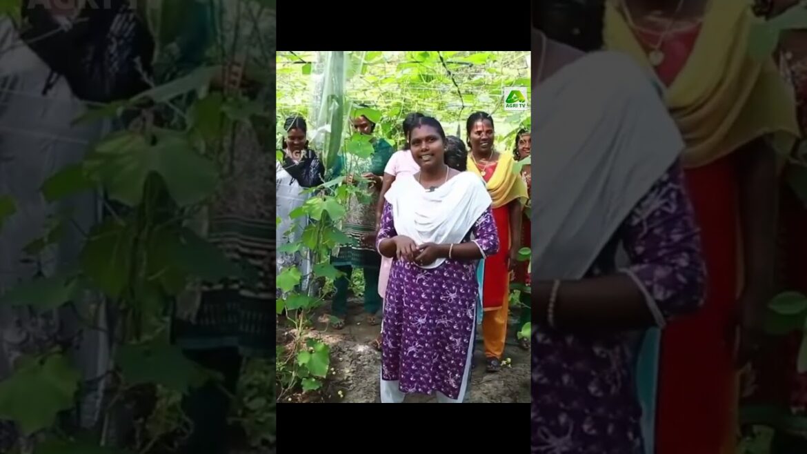 9 മണി ആവാൻ ഞങ്ങൾക്ക് കാത്തിരിക്കുകയാണ്! തൊഴിലുറപ്പ് ചേച്ചിമാരുടെ ഈ കൂട്ടായ്മയ്ക്ക് ആശംസപ്രവാഹം