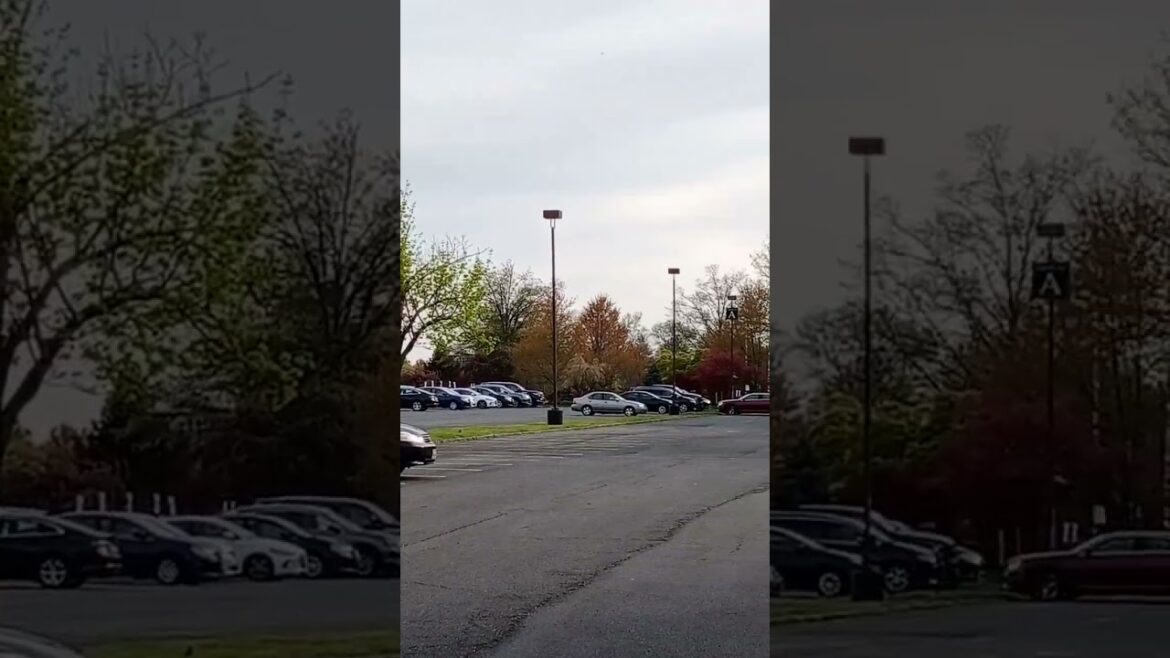 అమ్మో బాబాయ్ చాలా బాగా ఎన్ని కార్స్ అయిన పార్క్ చేయొచ్చు