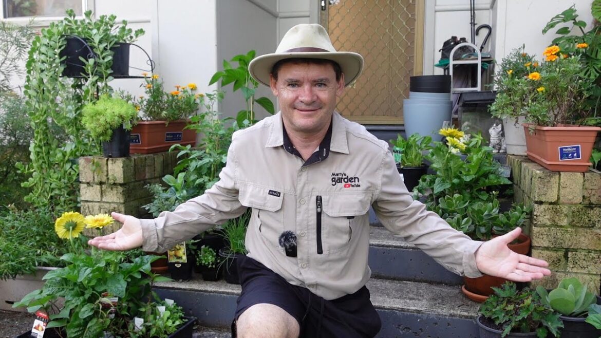 What Edibles Are We GROWING RIGHT NOW? (CONTAINER GARDENING) What Edibles Are We GROWING RIGHT NOW? (CONTAINER GARDENING)