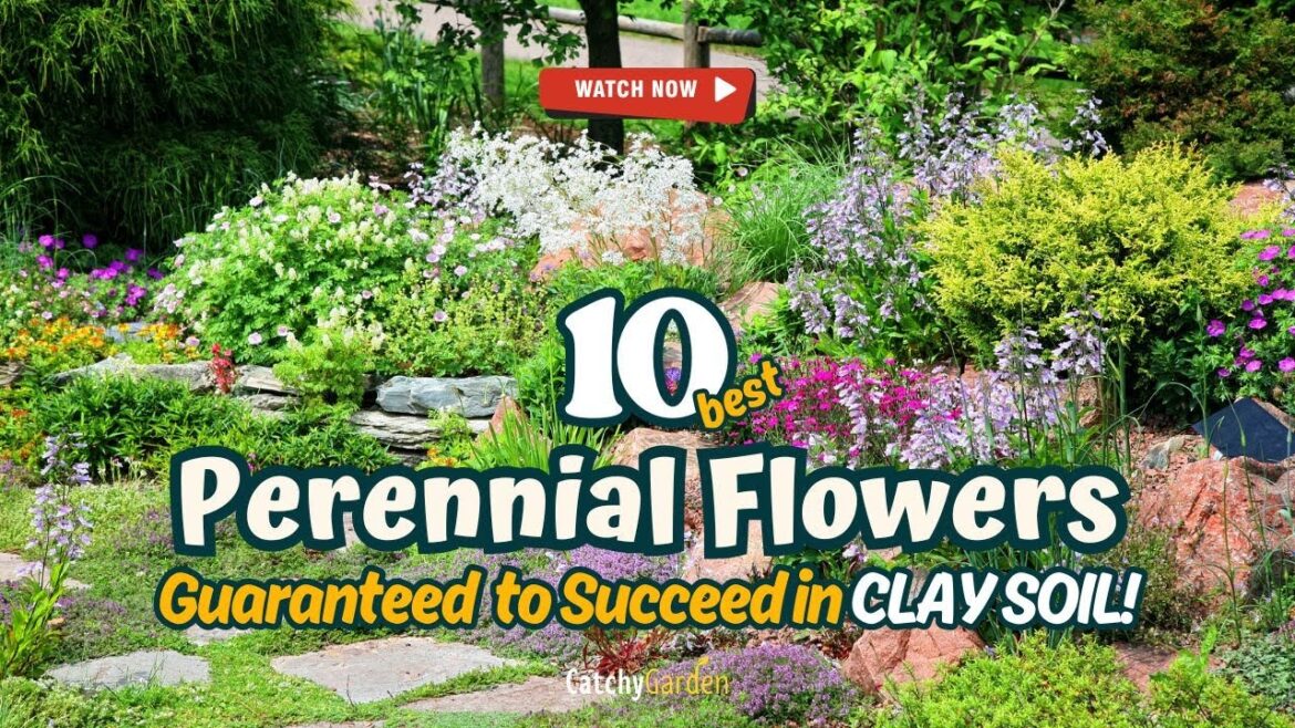 Top 10 Perennial Flowers GUARANTEED to Succeed in CLAY SOIL! 🌹🌻🔥 // Gardening Ideas