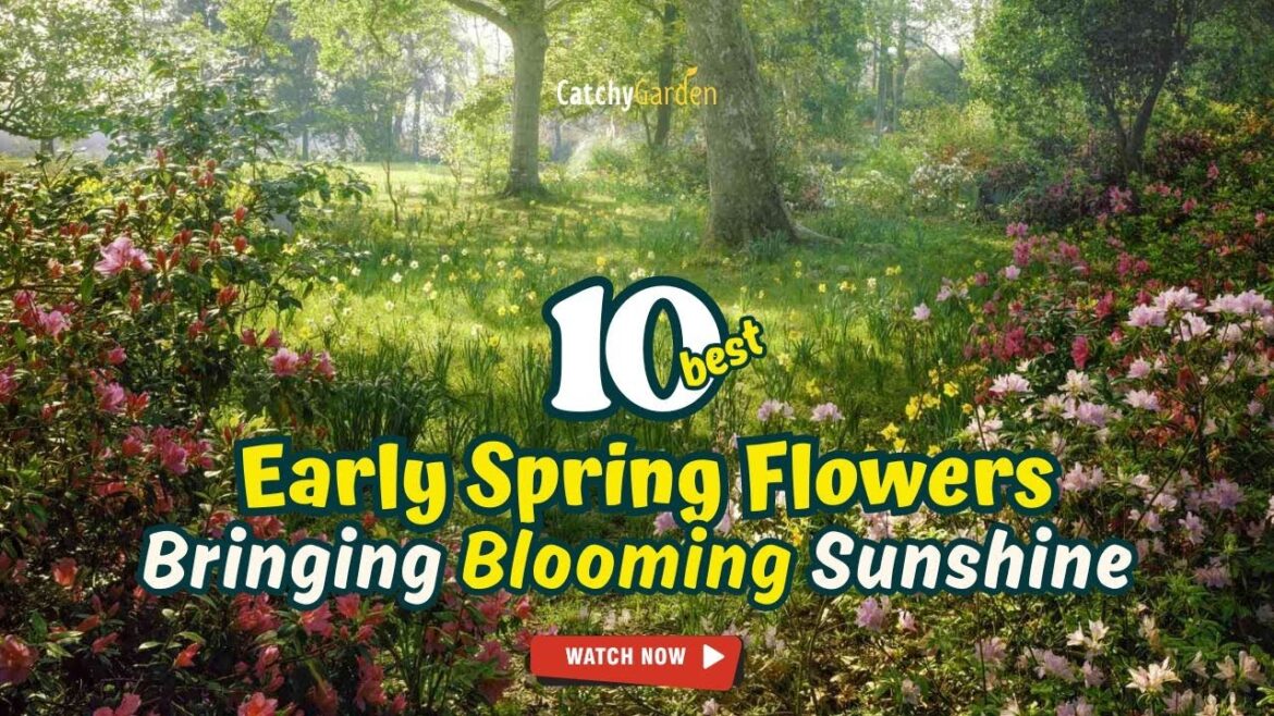 Top 10 EARLY SPRING Flowers BRINGING Blooming SUNSHINE ππ»πΌπΈ // Gardening Ideas Top 10 EARLY SPRING Flowers BRINGING Blooming SUNSHINE ππ»πΌπΈ // Gardening Ideas