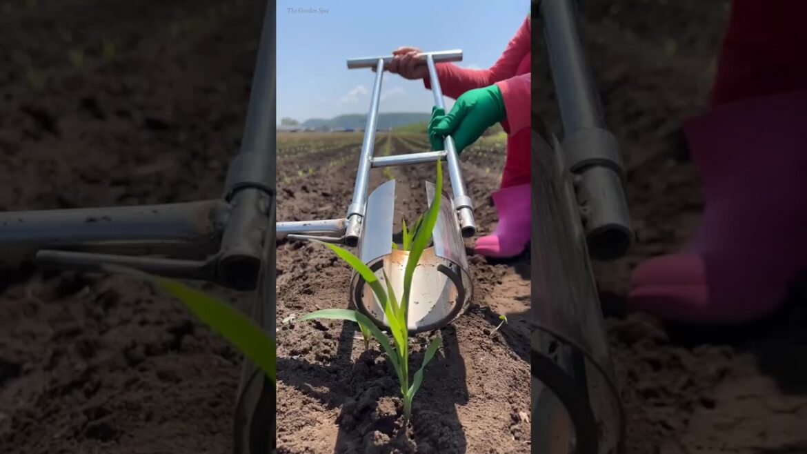 Helpful gardening tools for agricultural || planting tools #shorts #satisfying