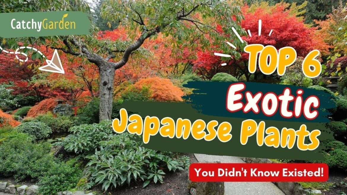 Top 6 Exotic JAPANESE PLANTS You Didn’t Know Existed! πΌππΉ // Gardening Ideas Top 6 Exotic JAPANESE PLANTS You Didn't Know Existed! πΌππΉ // Gardening Ideas