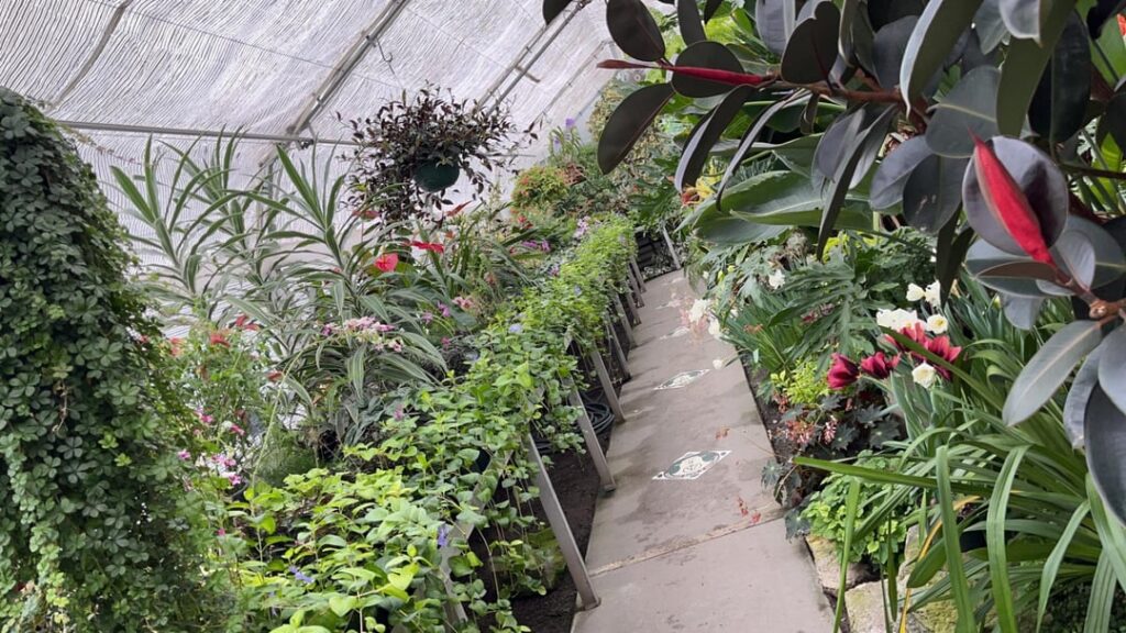 My Adventure in Spokane Washington to the greenhouse