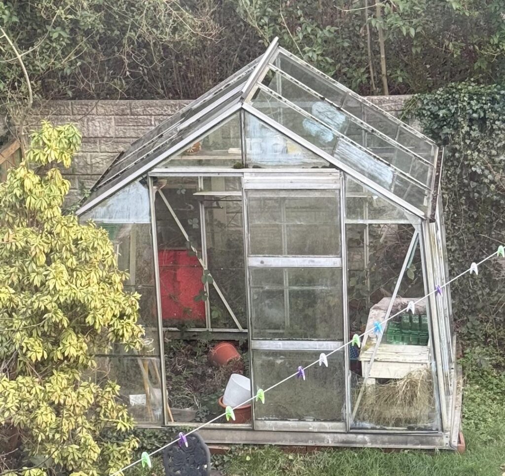Story of my Greenhouse Renovation