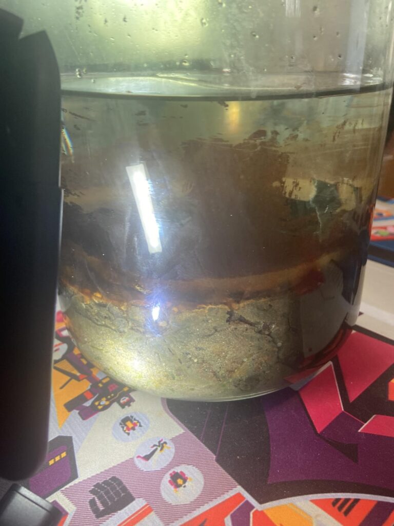 Unsure if ecosphere is doing well. Most of the plants have died. Algae seems to be there and animal diversity probably halved and there seems to only be snails and fat red worms. Scuds and boogie worms gone.