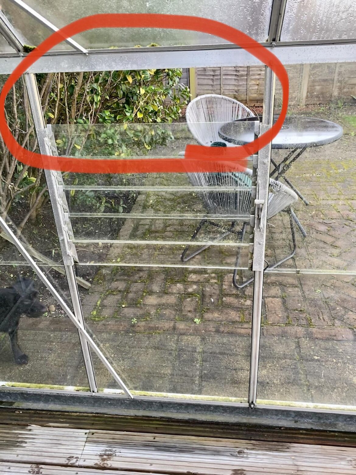 New to greenhouses - is this right?