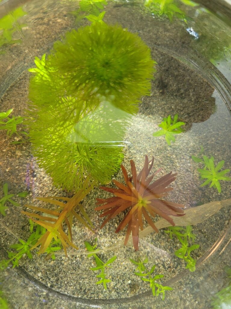 How to make my new EcoJar more interesting?