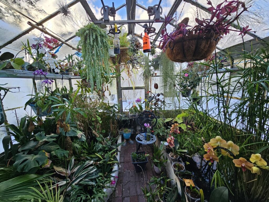 February blooms in the happy place