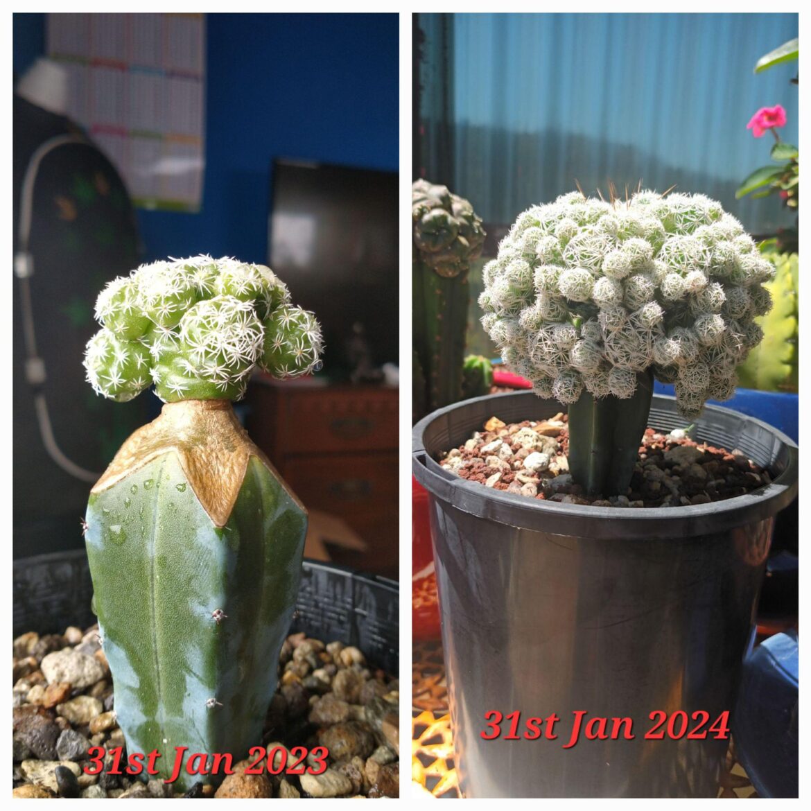 1 year of growth... what a difference