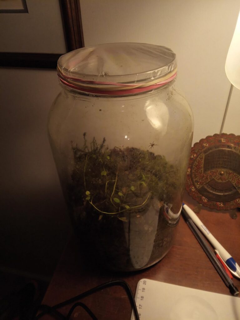 5 months for my creekside terrestrial jar 5 months for my creekside terrestrial jar