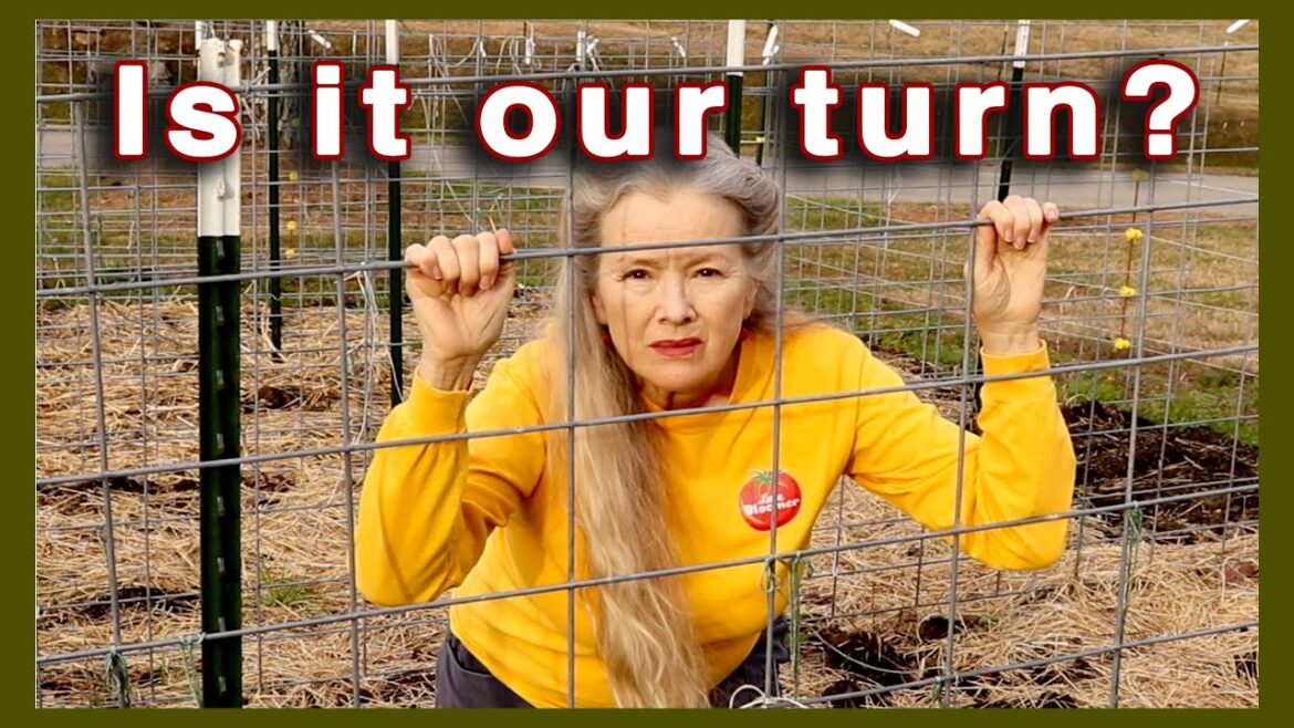 Kaye Kittrell: PRISON for BACKYARD GARDENERS PRISON for BACKYARD GARDENERS
