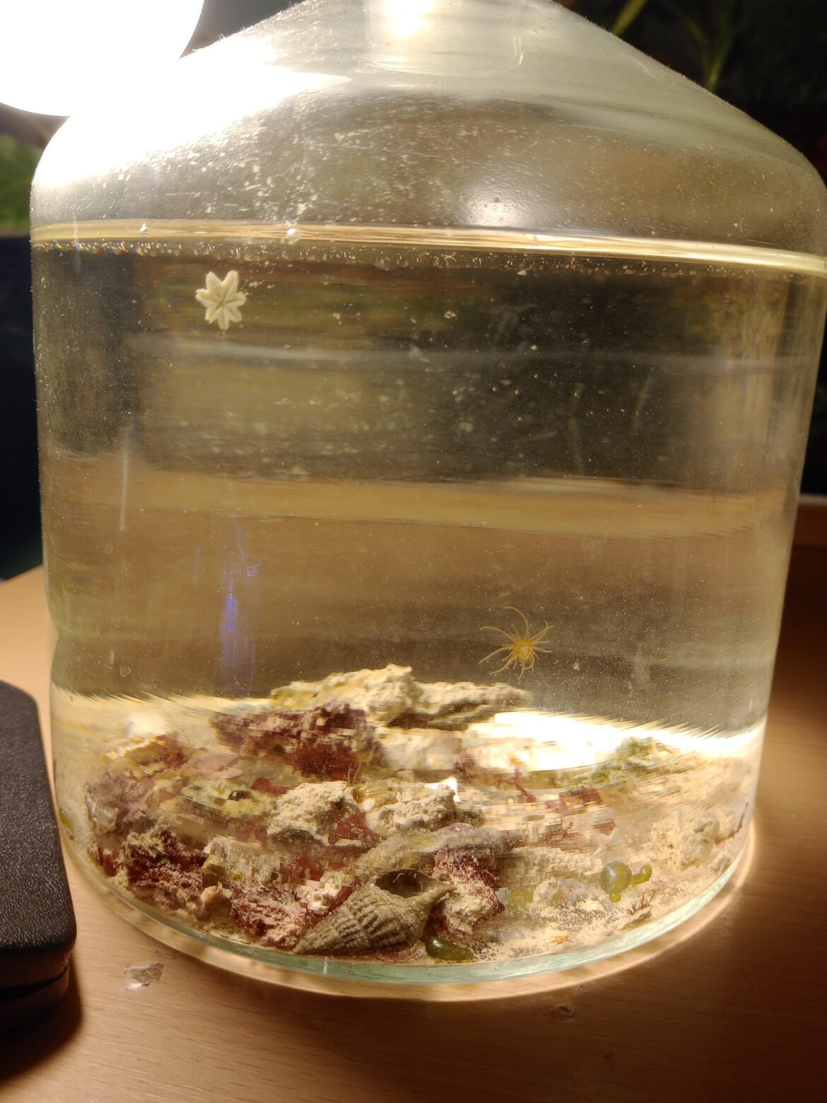 Marine ecosphere Marine ecosphere