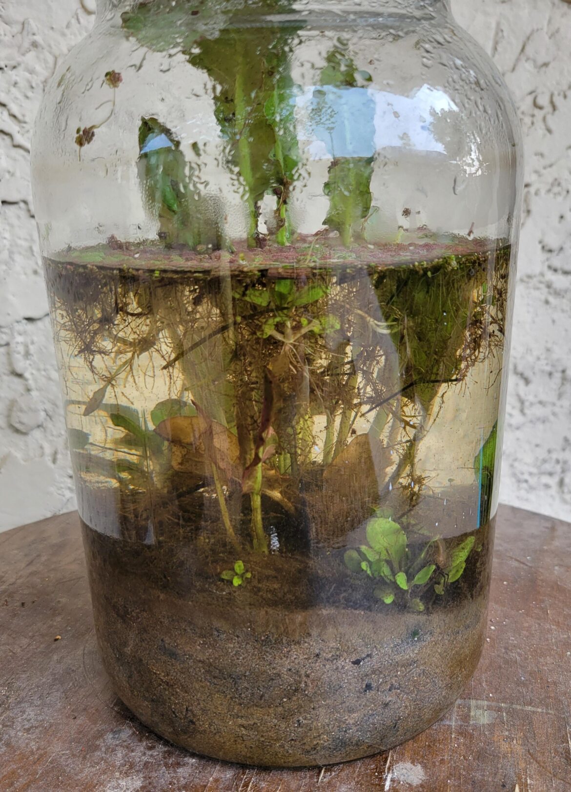 River Jar Take 2