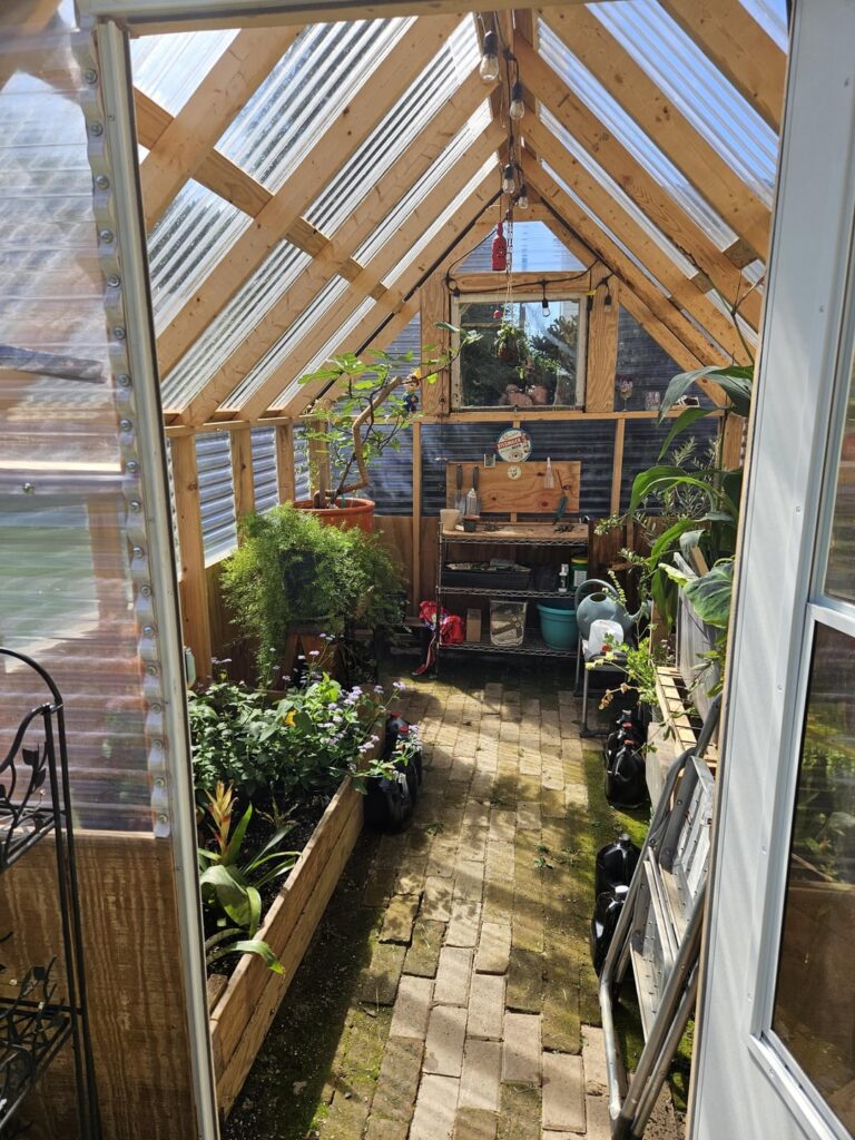 Our green house