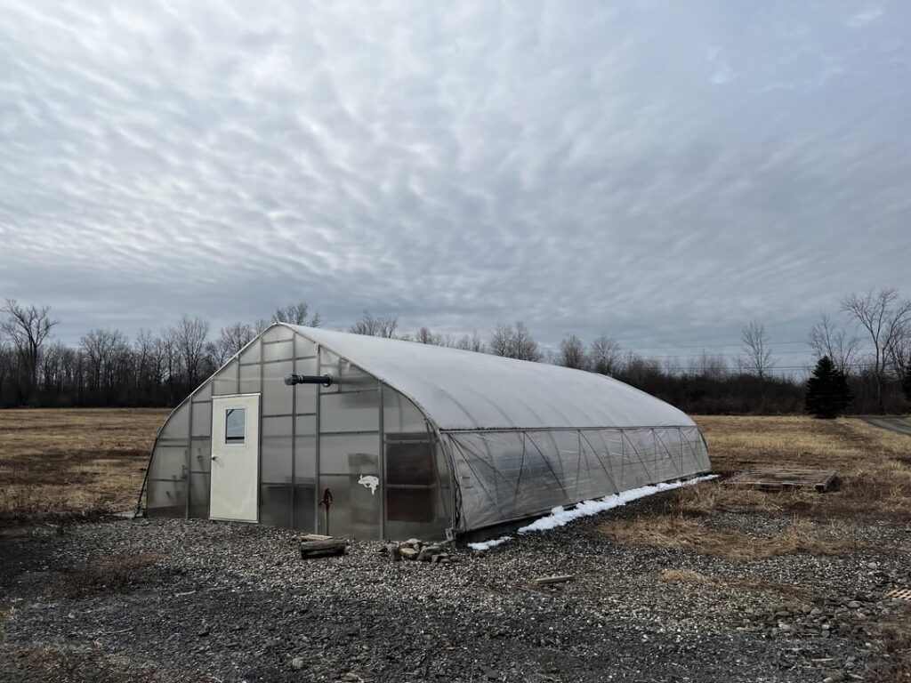 New Greenhouse New Greenhouse
