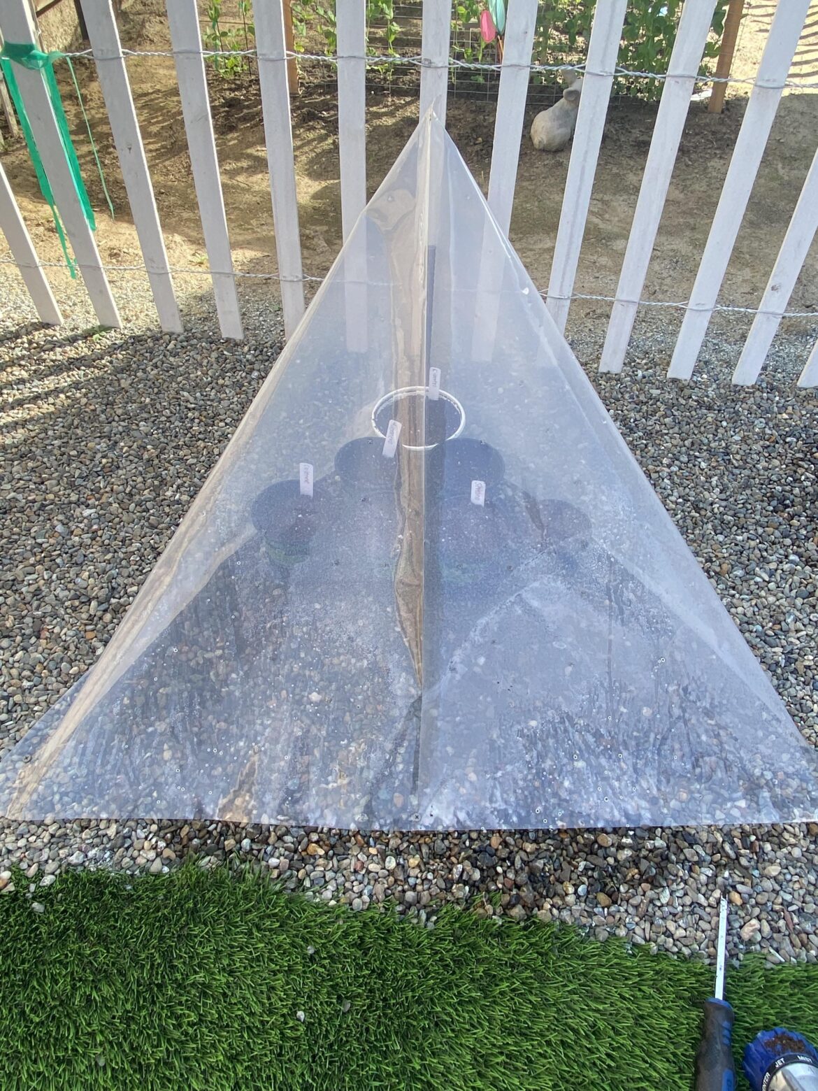 What do you think about my greenhouse ? 😂