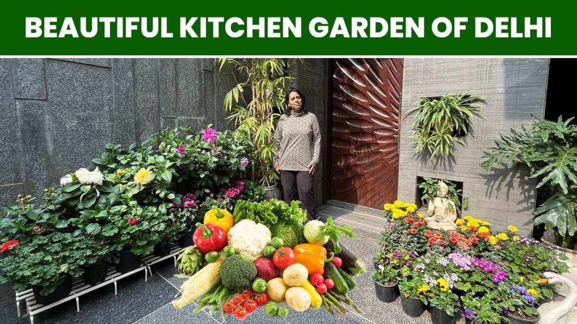 Kitchen Garden Tour ЁЯк┤ рдЕрдВрдЬреВ рдЬреА рдХрд╛ рдЧрд╛рд░реНрдбрди рдЖрдкрдХрд╛ рдорди рдореЛрд╣ рд▓реЗрдЧрд╛ ЁЯШо Know How to do Vegetable Gardening ЁЯМ╜ЁЯНЖ Kitchen Garden Tour ЁЯк┤ рдЕрдВрдЬреВ рдЬреА рдХрд╛ рдЧрд╛рд░реНрдбрди рдЖрдкрдХрд╛ рдорди рдореЛрд╣ рд▓реЗрдЧрд╛ ЁЯШо Know How to do Vegetable Gardening ЁЯМ╜ЁЯНЖ