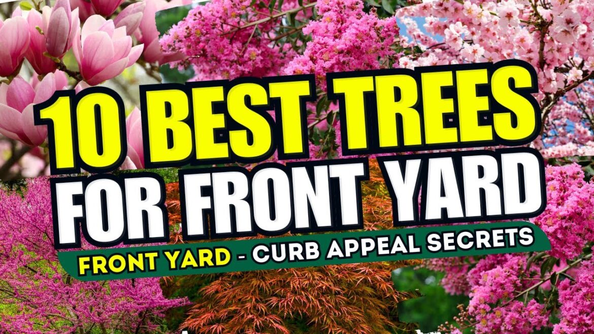 🌳😍 Top 10 BEST Trees for ANY Front Yard Garden Style - CURB APPEAL SECRETS 🚀🌲