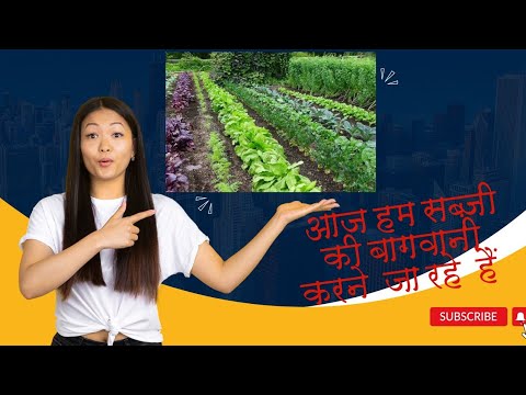 Today we are going to do vegetable gardening || आज हम सब्ज़ी की बागवानी करने जा रहे हैं|| #youtube Today we are going to do vegetable gardening || आज हम सब्ज़ी की बागवानी करने जा रहे हैं|| #youtube