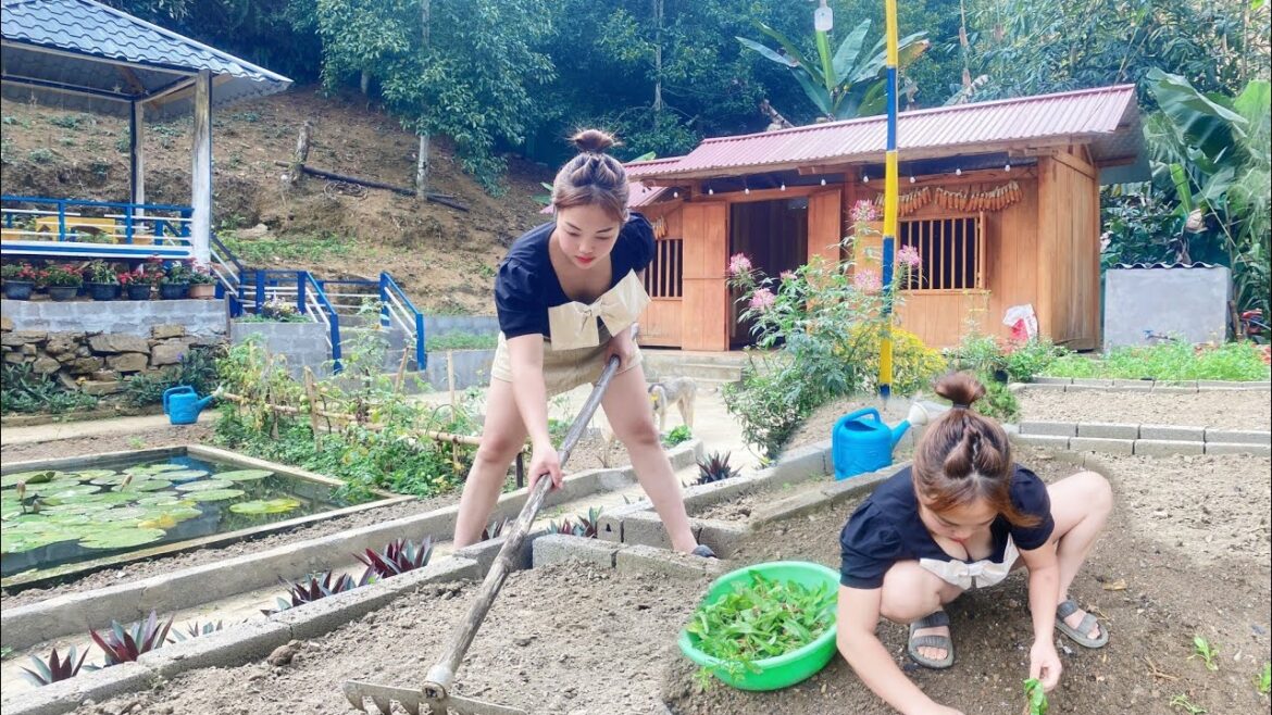 Gardening, Soil Improvement, Vegetable Growing, Seeding, Cooking - Natural Life